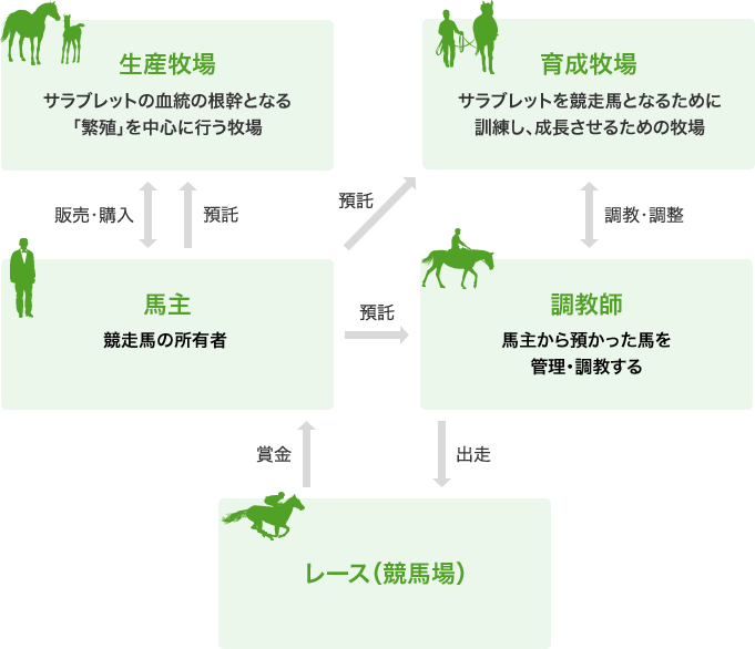 「生産牧場」サラブレットの血統の根幹となる「繁殖」を中心に行う牧場、「育成牧場」サラブレットを競走馬とするために訓練し、成長させるための牧場、「馬主」競走馬の所有者、「調教師」馬主から預かった馬を管理・調教する、「レース(競馬場)」 生産牧場と馬主が相互に販売・購入、育成牧場から馬主へ預託、育成牧場と調教師が相互に調教・調整、馬主から生産牧場と調教師へ預託、それぞれがレース(競馬場)へ出走させ、レース(競馬場)からは賞金を提供する