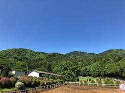 有限会社高木競走馬育成牧場