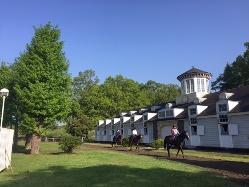 Tomorrow Farm